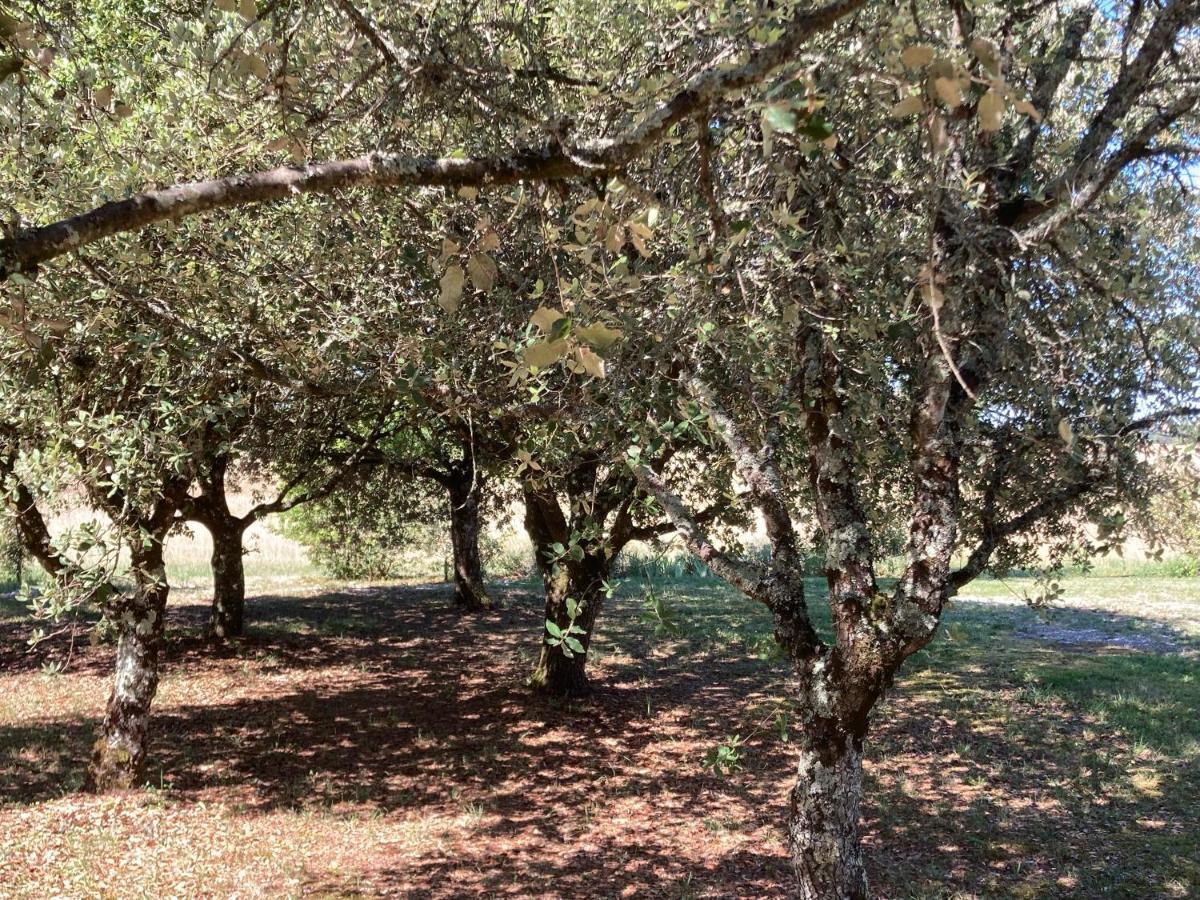 Issigeac Le Murmure Des Fees المظهر الخارجي الصورة